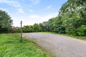 Photo 13- click for photo gallery